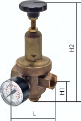 H302.8886 Standard réducteur de pression Pic1
